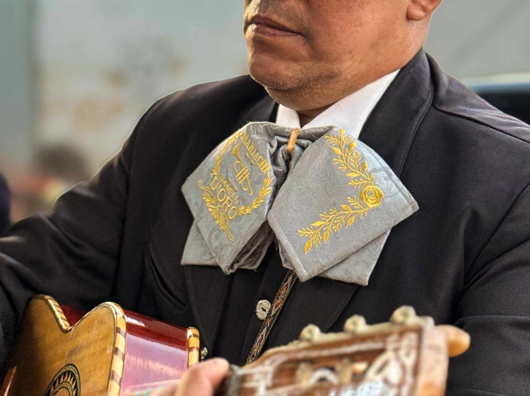 Mariachis en cucuta Trompeta de Oro-库库塔必去景点