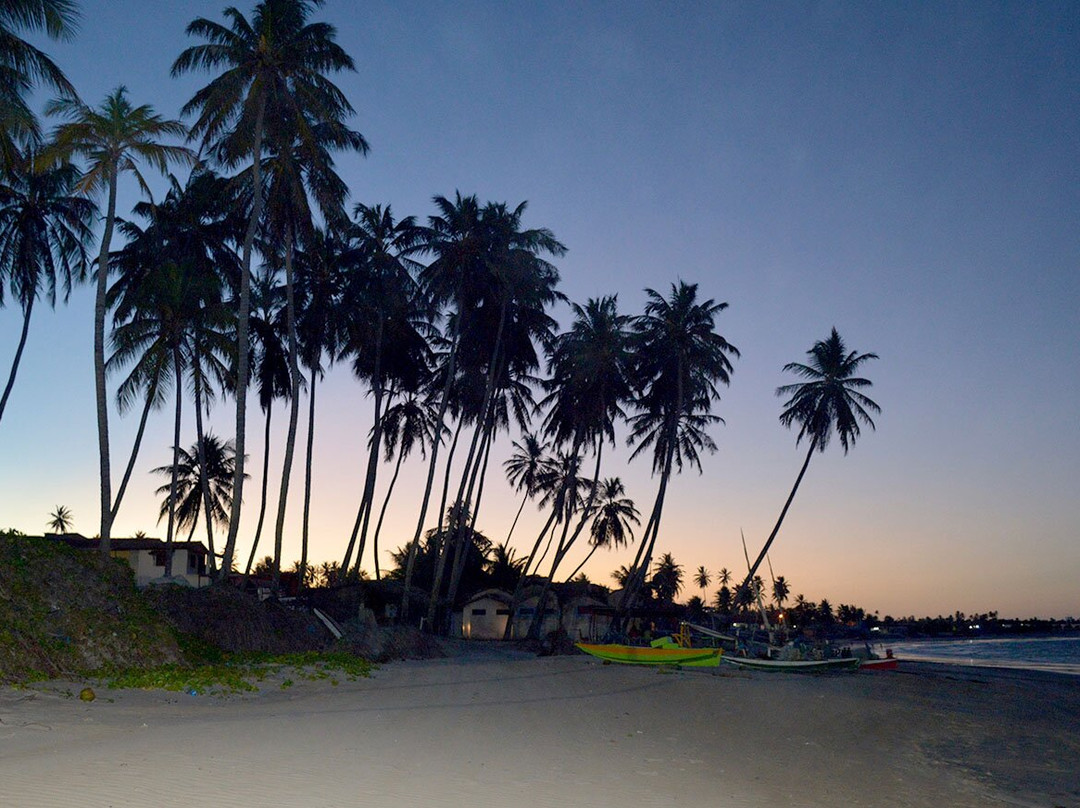 Tribo do Kite-Sao Miguel do Gostoso必去景点