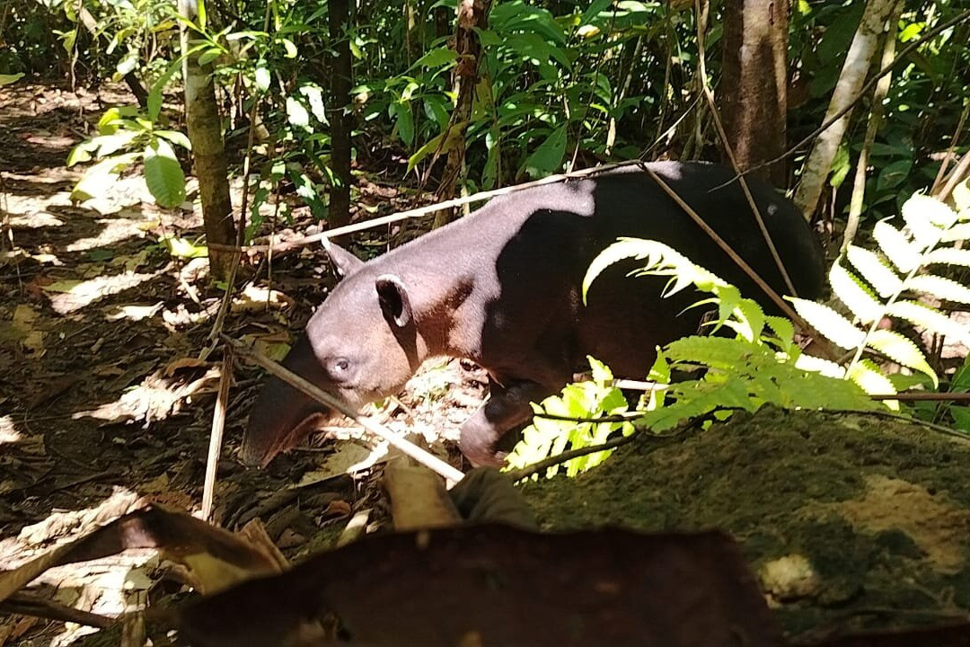 Ballena Aventura-鲸城必去景点