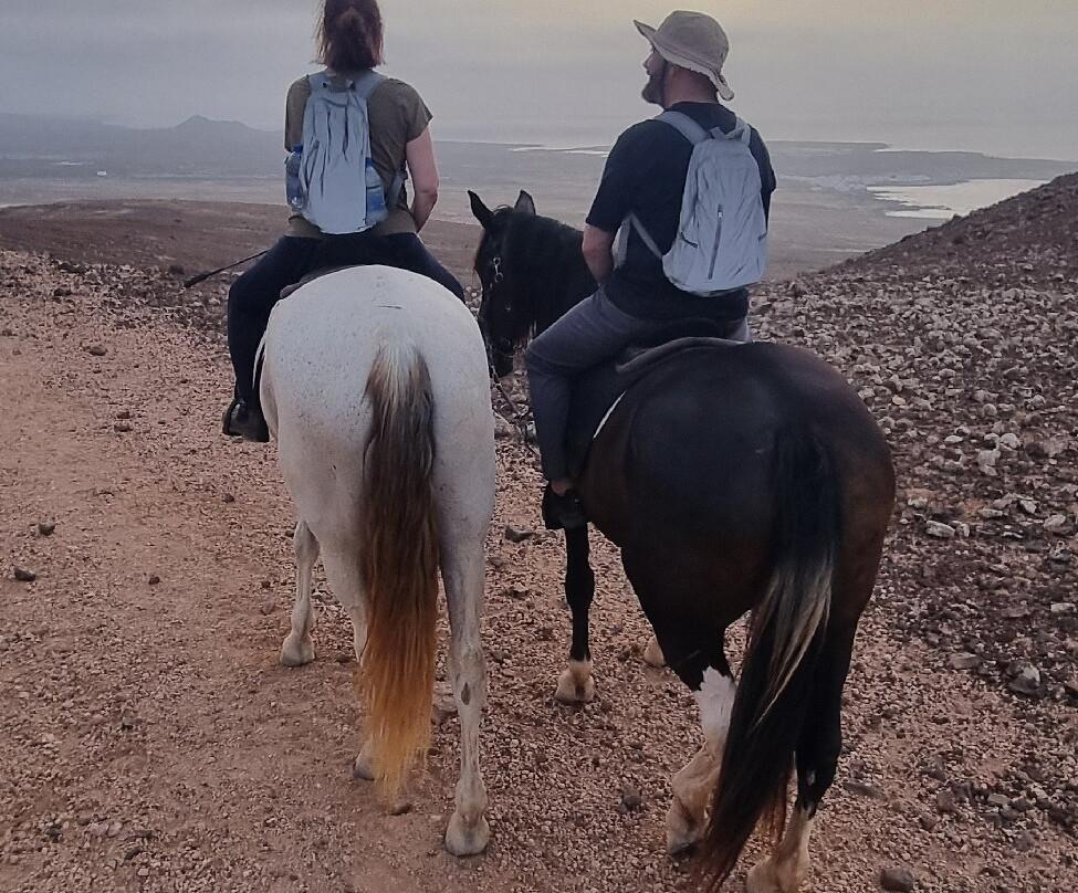 Lanzarote a Caballo-兰萨罗特必去景点