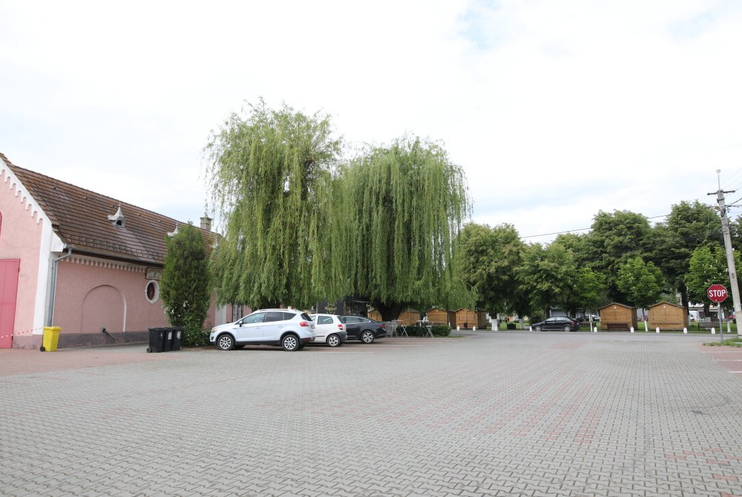 Parc Prejmer-Prejmer必去景点