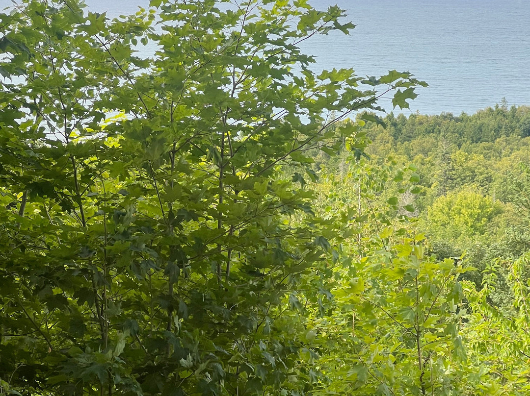 Skyline Motel LLC主图