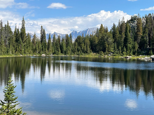 Wildland Llamas-杰克逊必去景点
