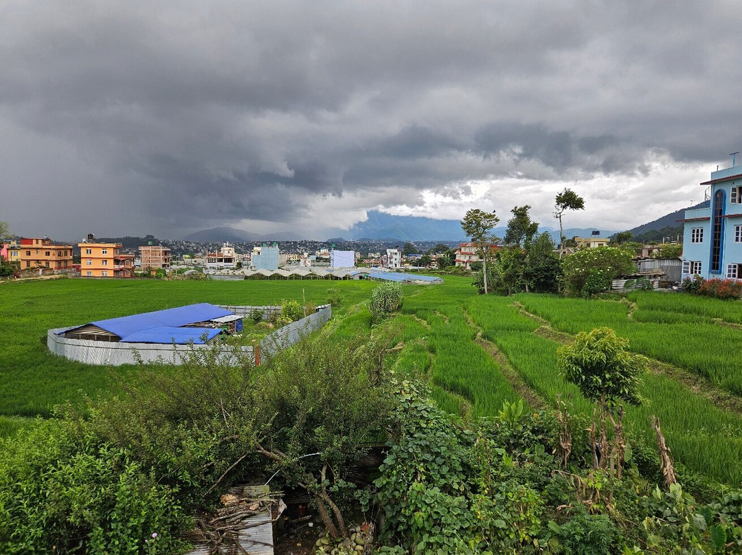 Homestay Nepal主图