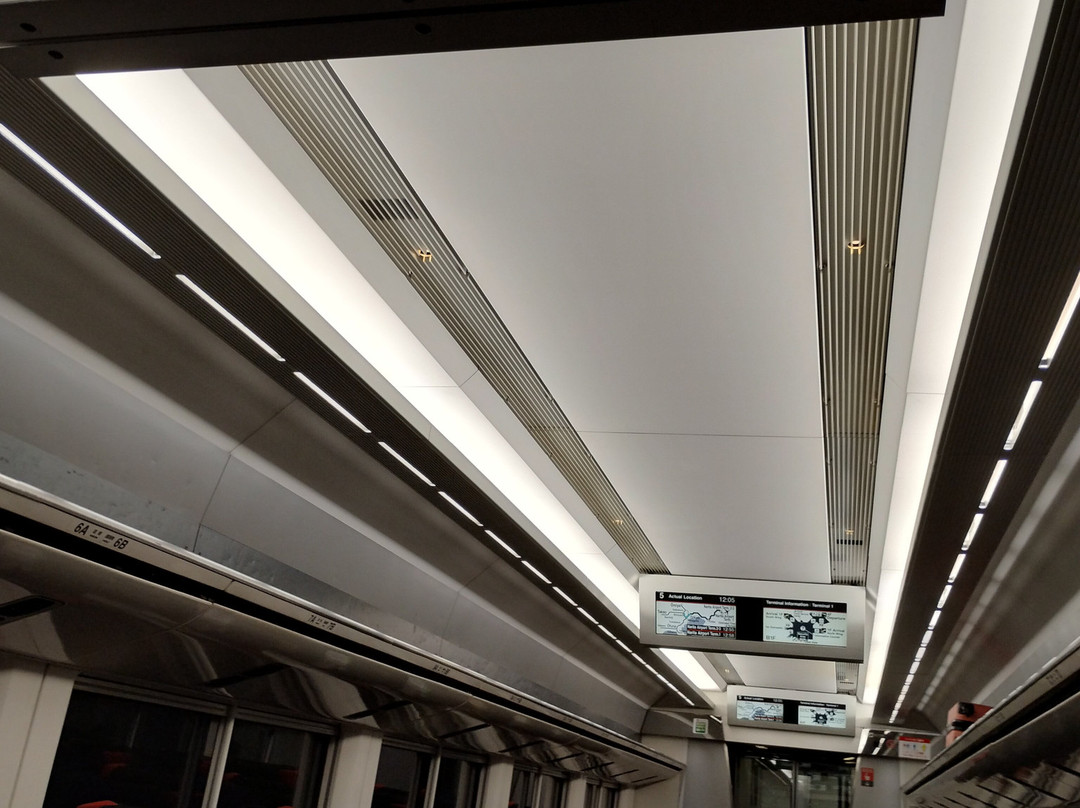 Narita Express (NEX)-成田市必去景点
