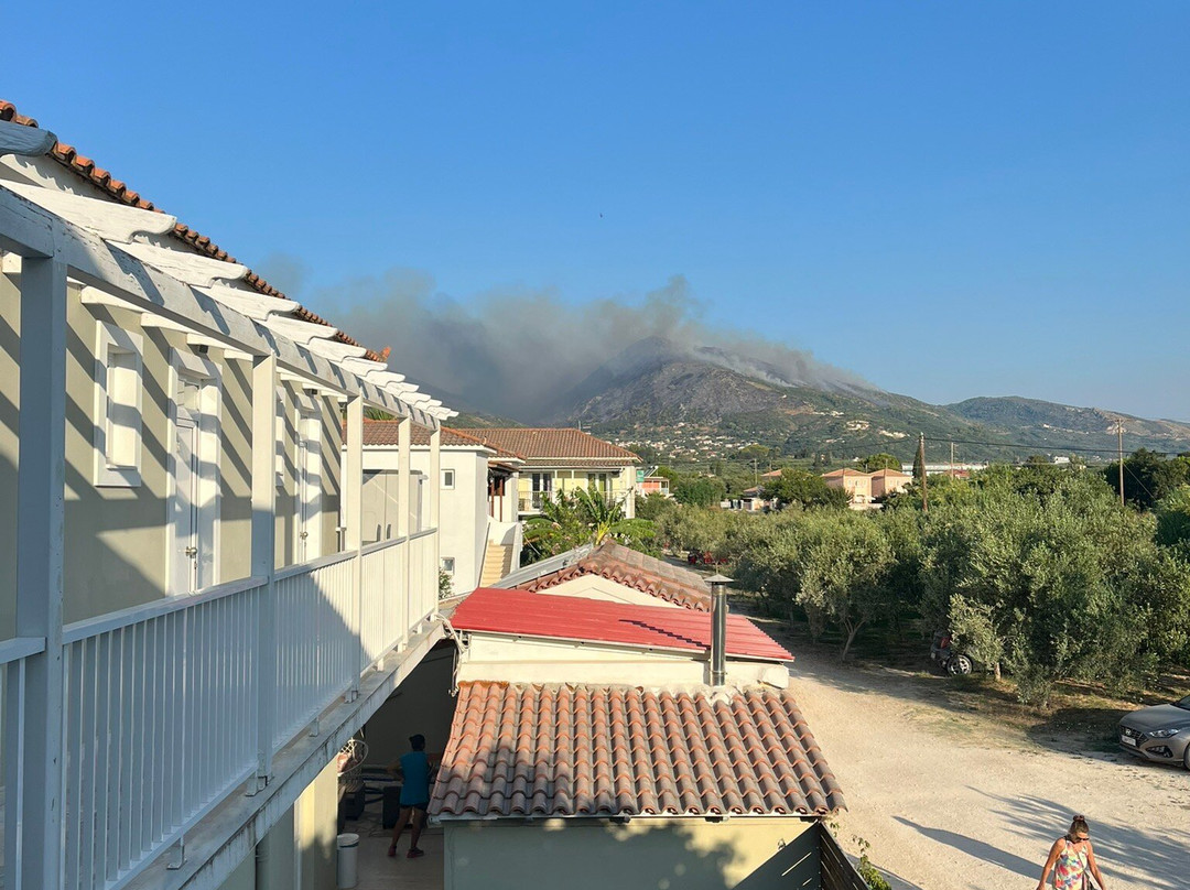 Adorno Di Zante主图