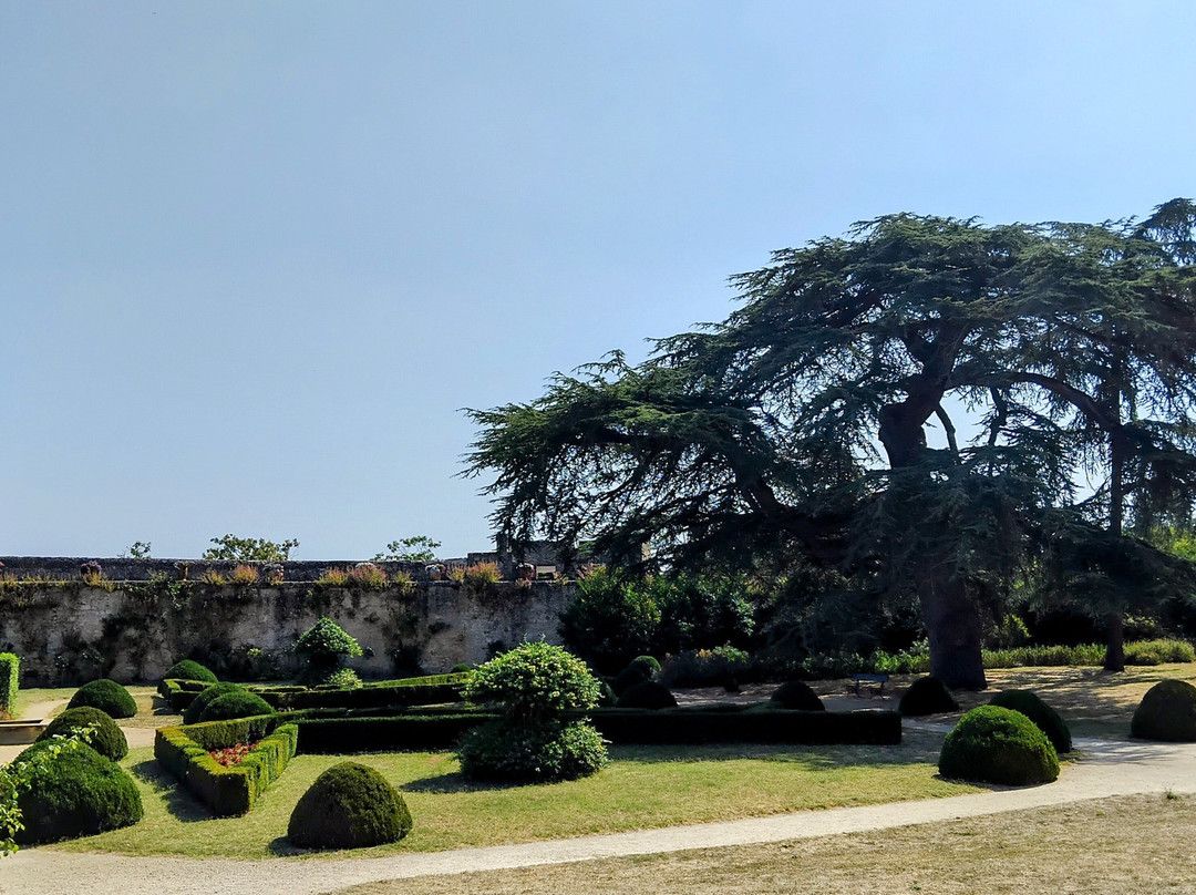 Chateau de Montreuil-Bellay-Montreuil-Bellay必去景点