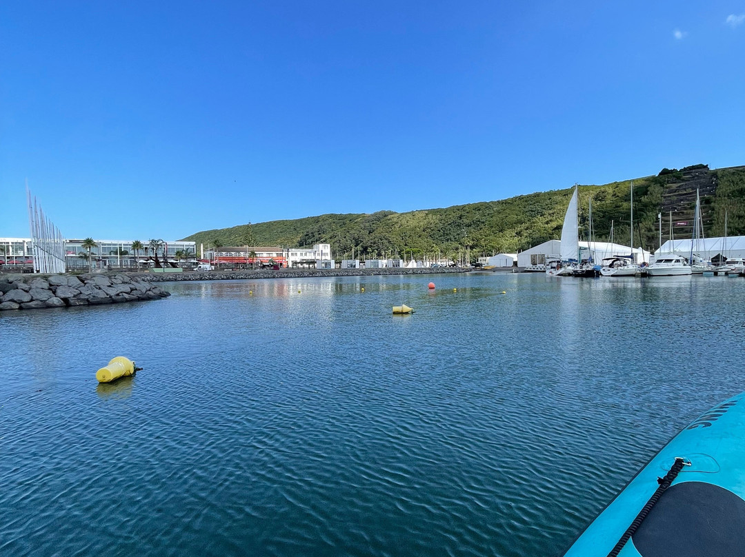 Octopus Diving Center-Praia da Vitória必去景点