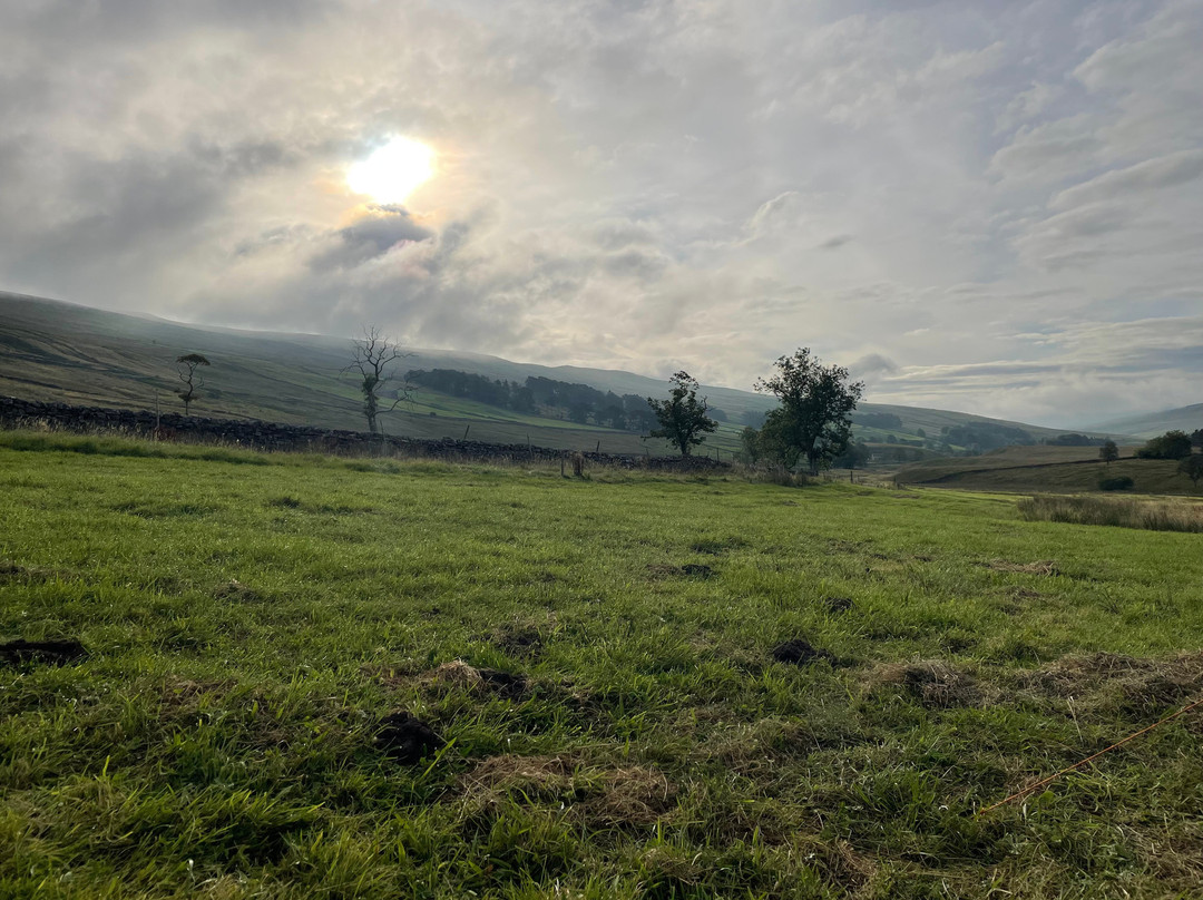 Nethergill Farm主图