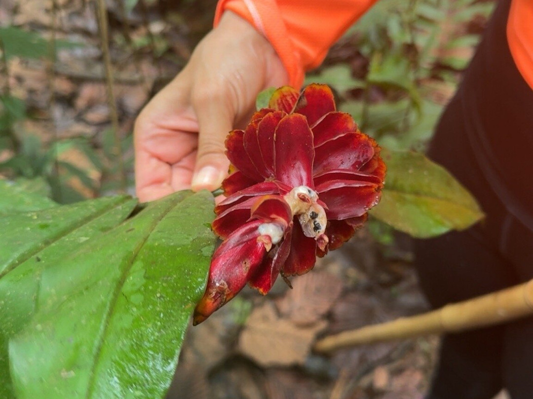 Esmeralda Ecotours San Rafael-San Rafael必去景点