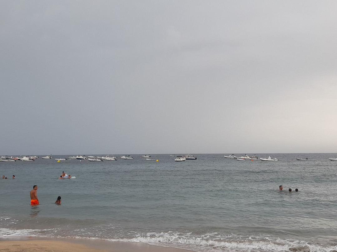 Playa De Agua Amarga-Agua Amarga必去景点
