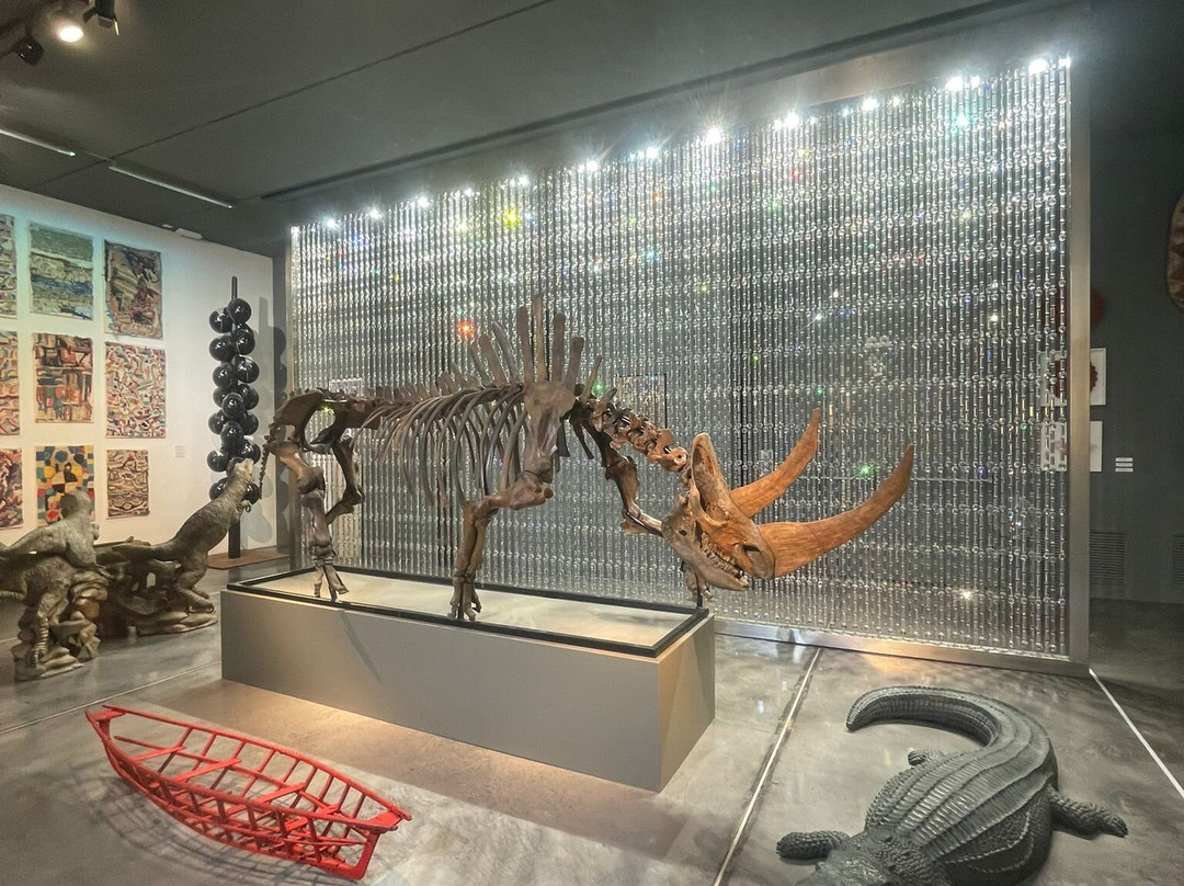 Museo Sa Bassa Blanca-阿库迪亚必去景点