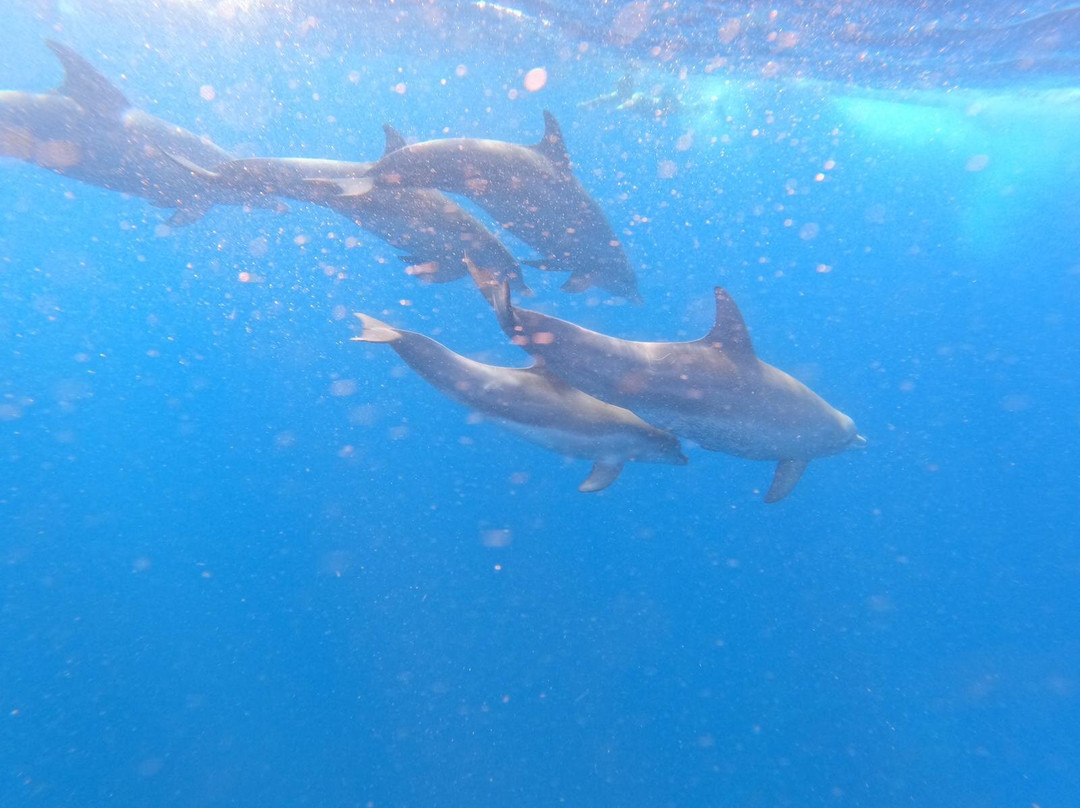 Discover Zanzibar with Mr Brown-桑给巴尔岛必去景点