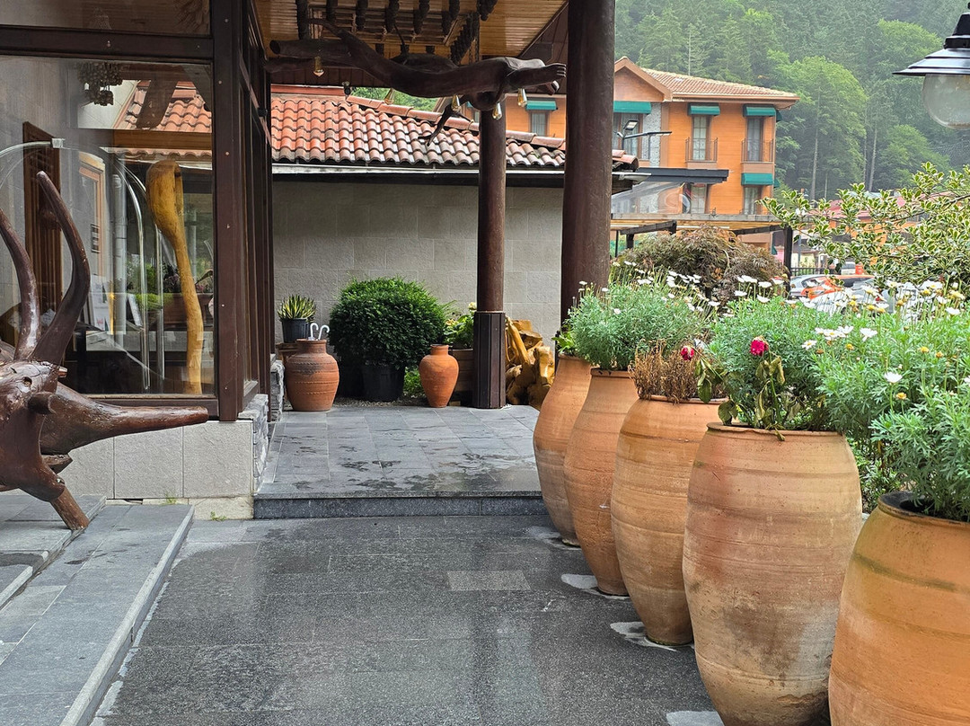 Inan Kardesler Hotel主图