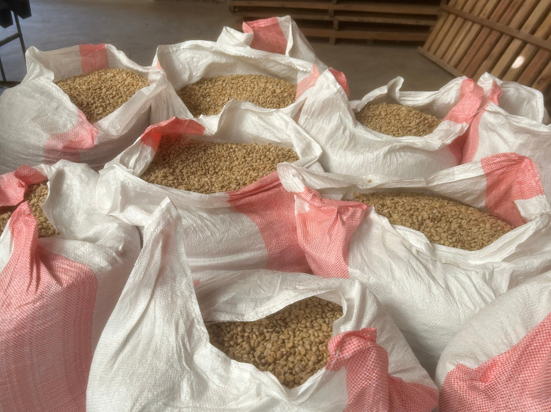 Kivu boat tours-Kibuye必去景点