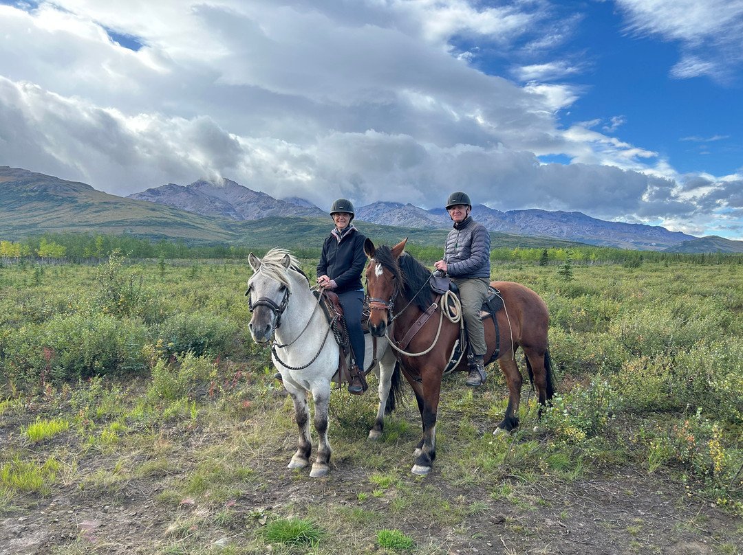 Denali Horseback Tours-德纳利国家公园和自然保护区必去景点