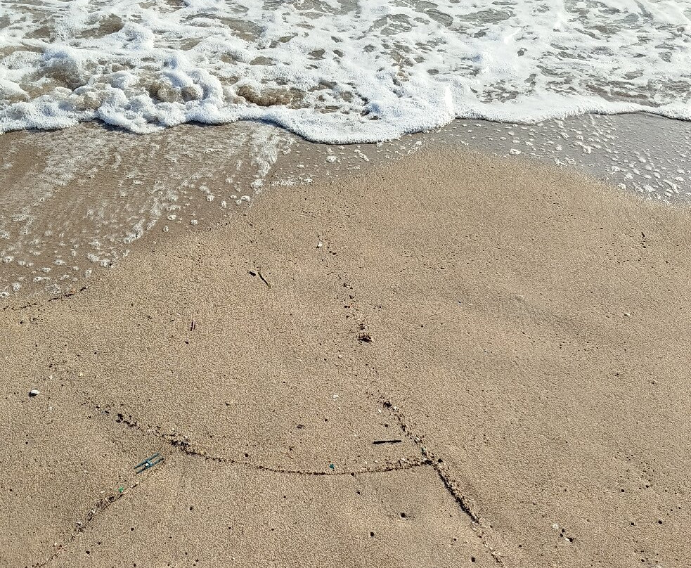 Playa de Ca'n Picafort-Ca'n Picafort必去景点