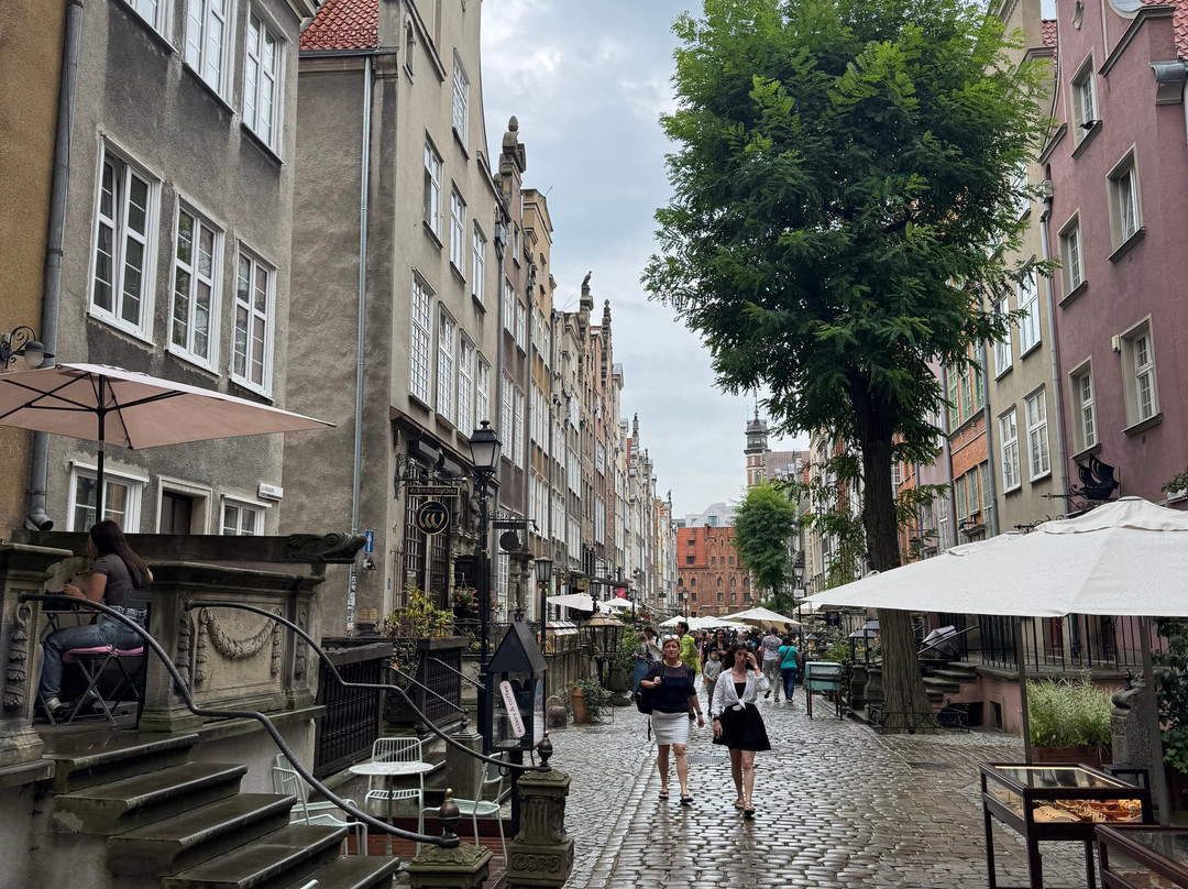 Gdańsk Professional Tour Guide-格但斯克必去景点