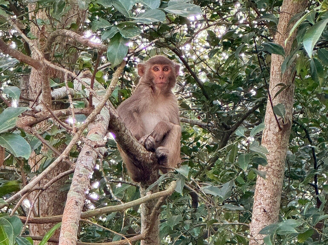 beentours-达卡市必去景点