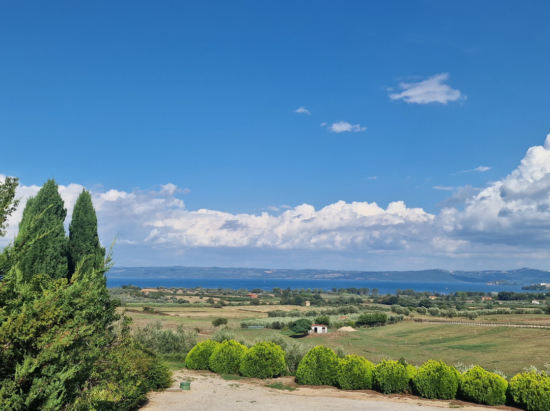 Agriturismo Le Ginestre主图