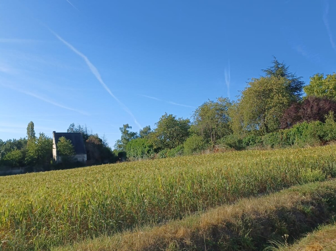 Domaine de la Chapelle主图