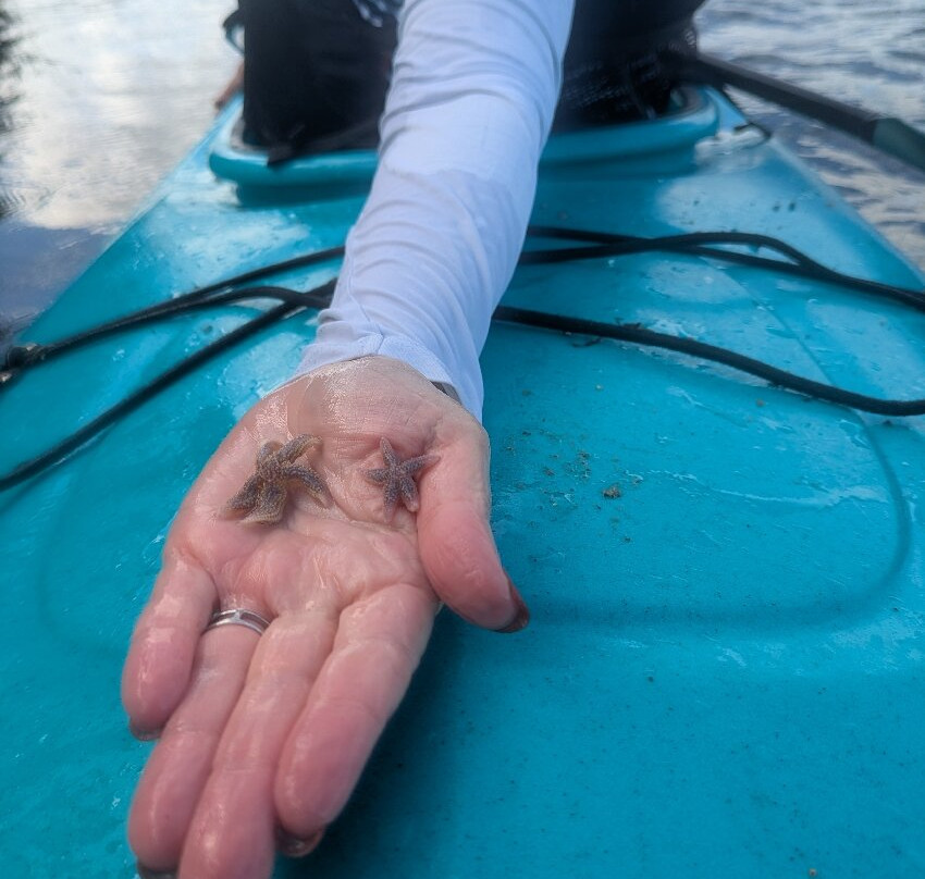 Happy Adventure Tours-Eastport必去景点