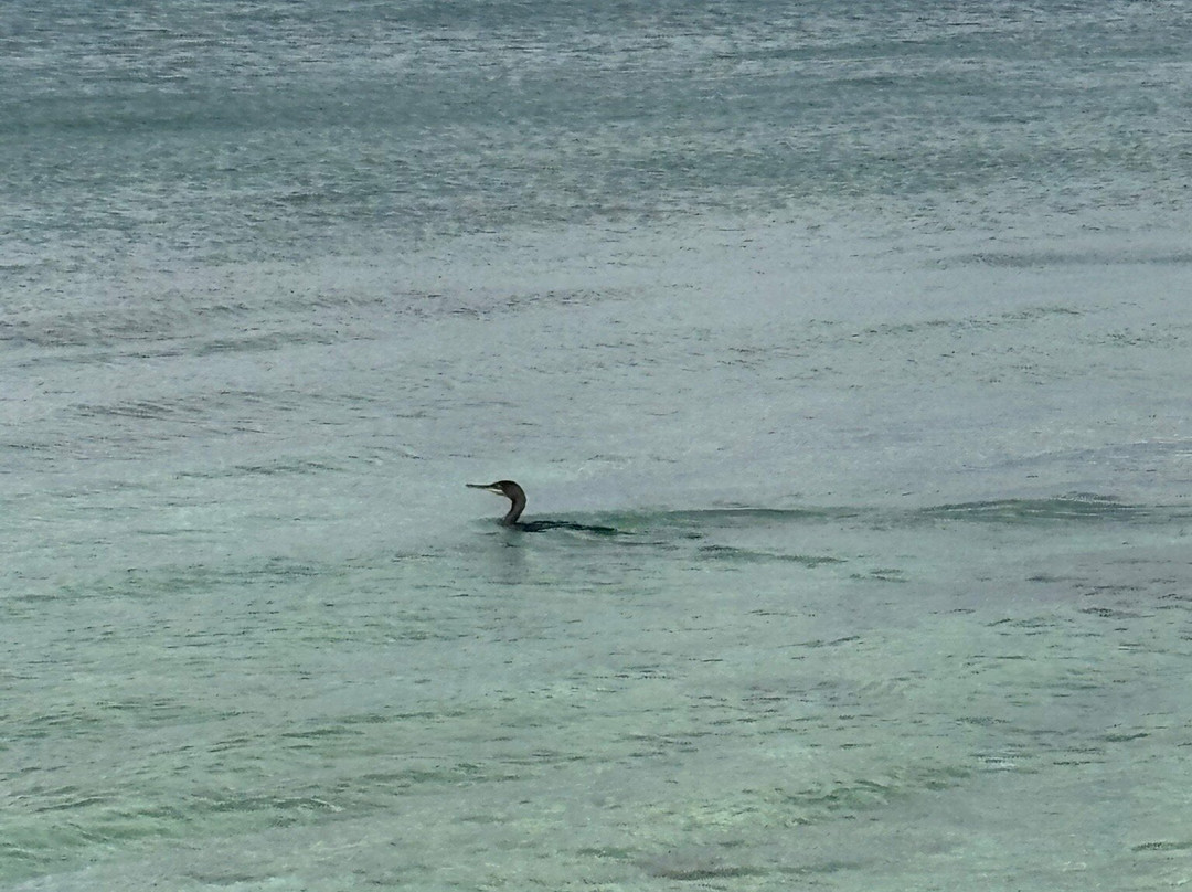 白沙角海滩-费拉约港必去景点