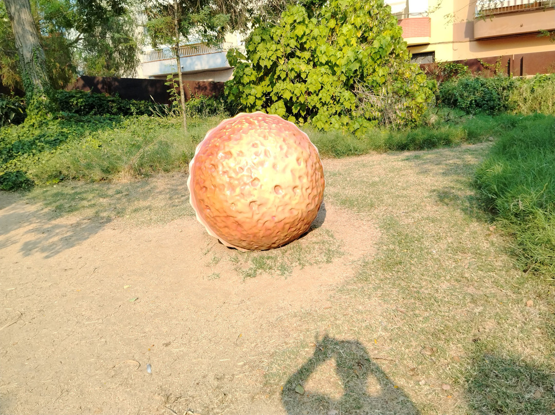 Parc Francesc Macia-马尔格拉特德马尔必去景点