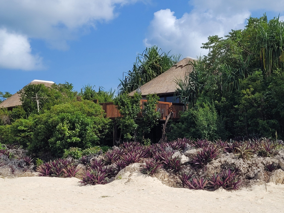 Fruit & Spice Wellness Resort Zanzibar主图