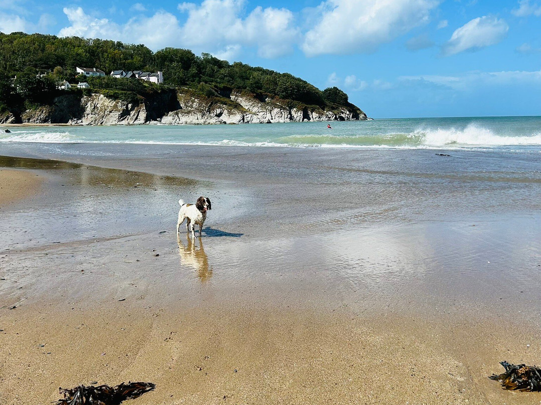 Aberporth Beach-Aberporth必去景点