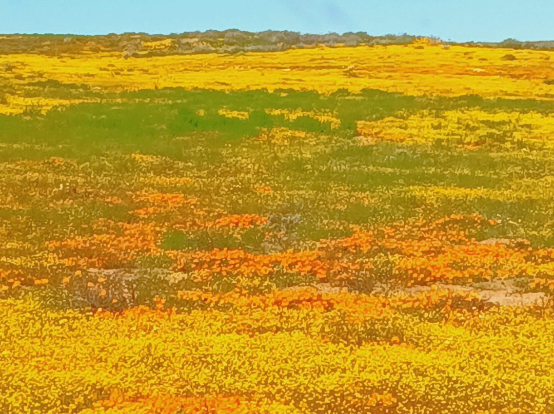 Hiking Namaqua Silversands Trail