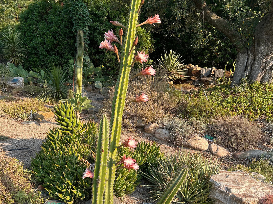 L'Arboretum-卡内鲁西永必去景点