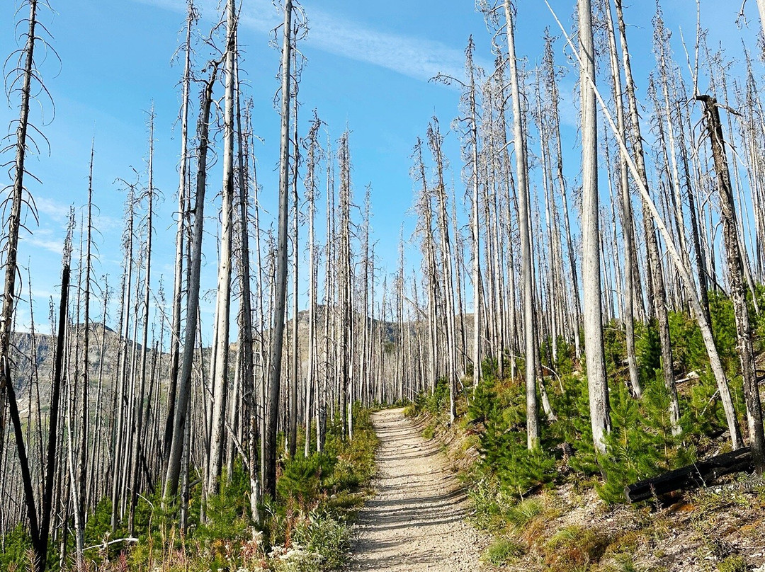 Wall Lake Hike-沃特顿湖国家公园必去景点