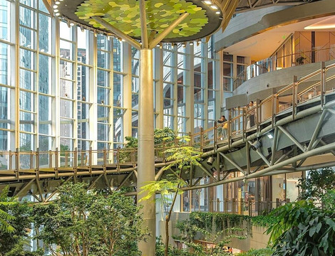 China Wonders Guide Chongqing-重庆市必去景点