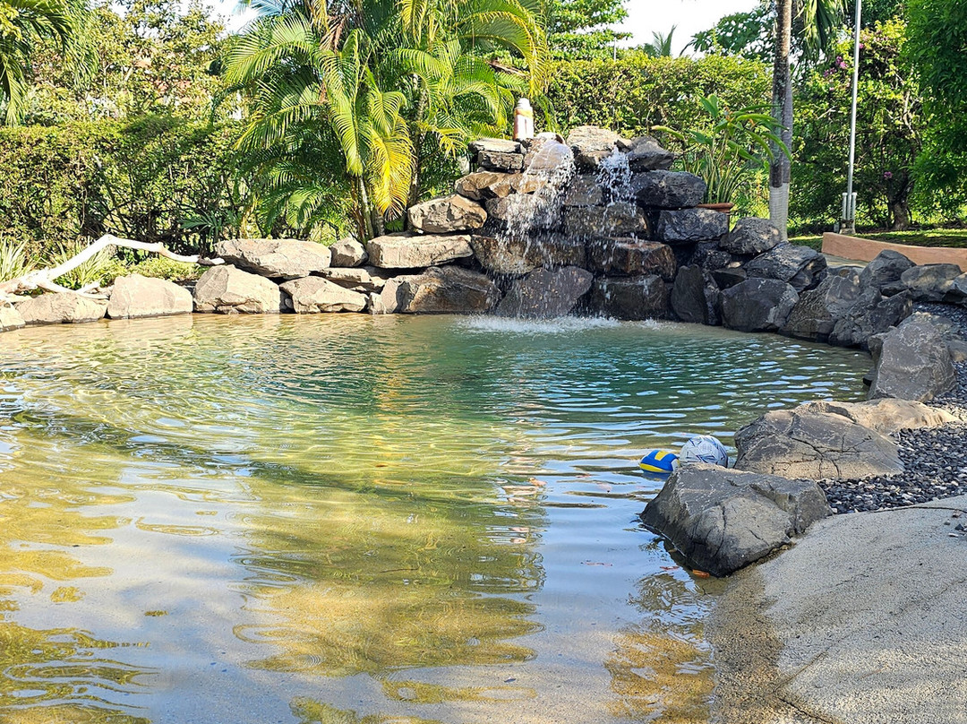 Cabañas los Colibris主图