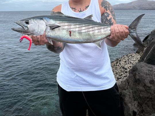Fishing Tribe Lanzarote-兰萨罗特必去景点