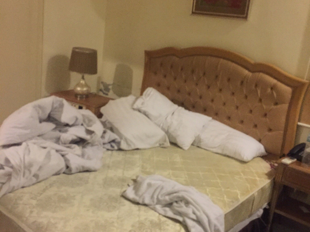 Panoramic Hotel主图