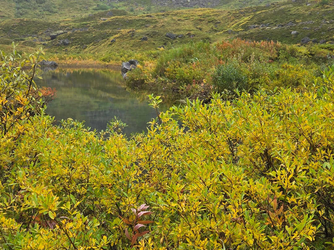 Snowhook Adventure Guides of Alaska-Willow必去景点