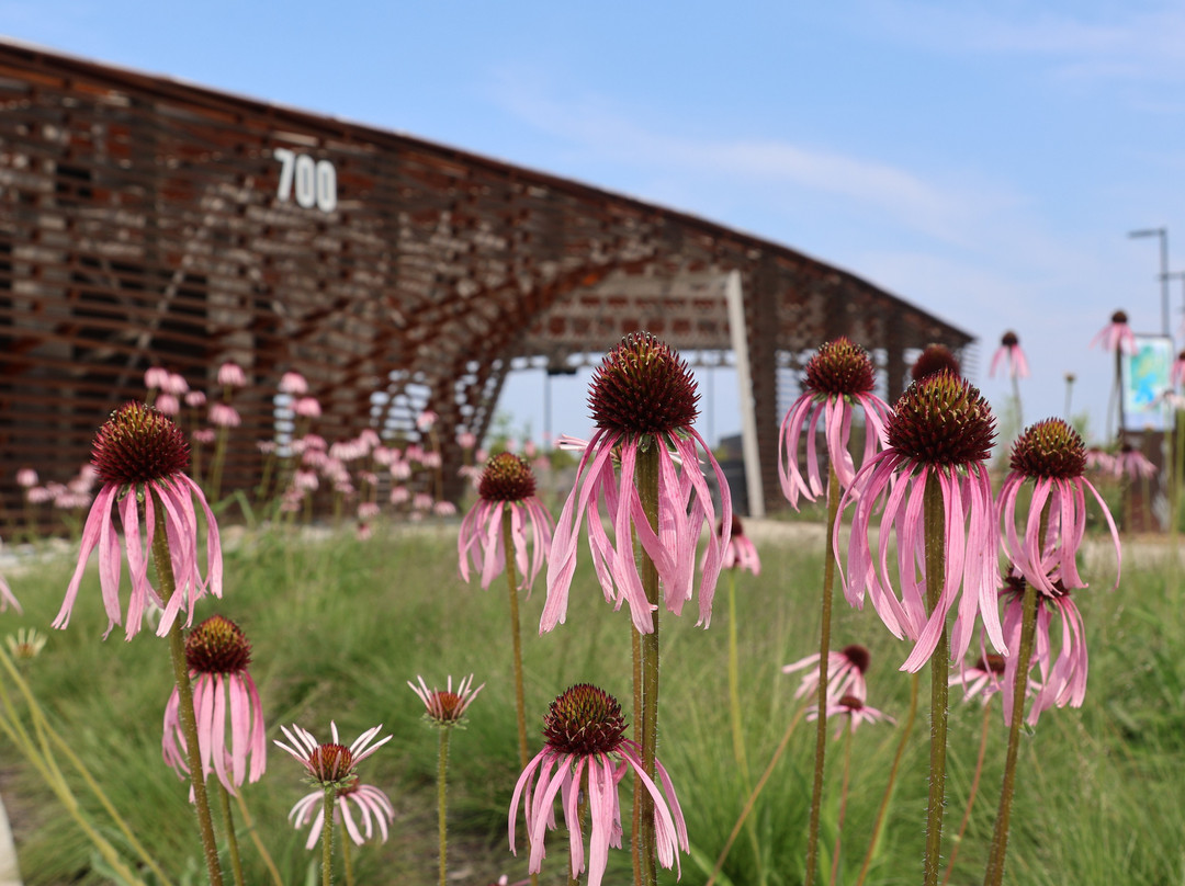 Osage Park-本顿维尔必去景点