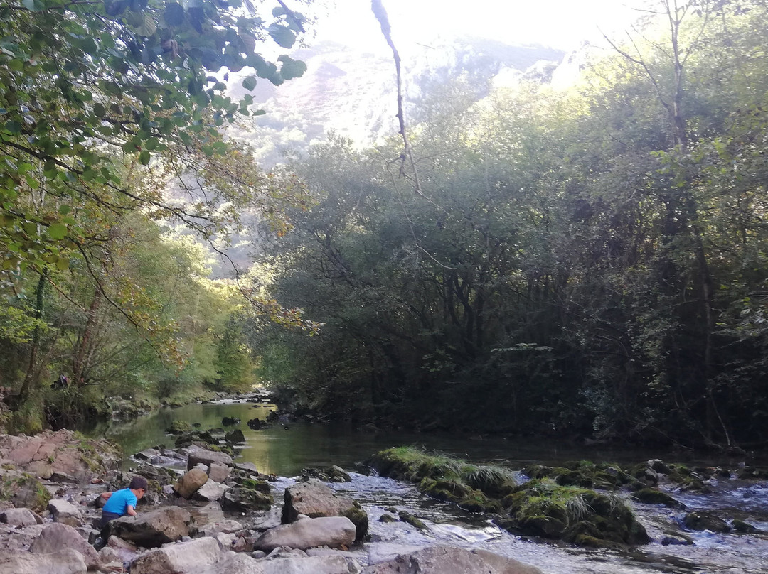 Rio Dobra-Cangas de Onis必去景点