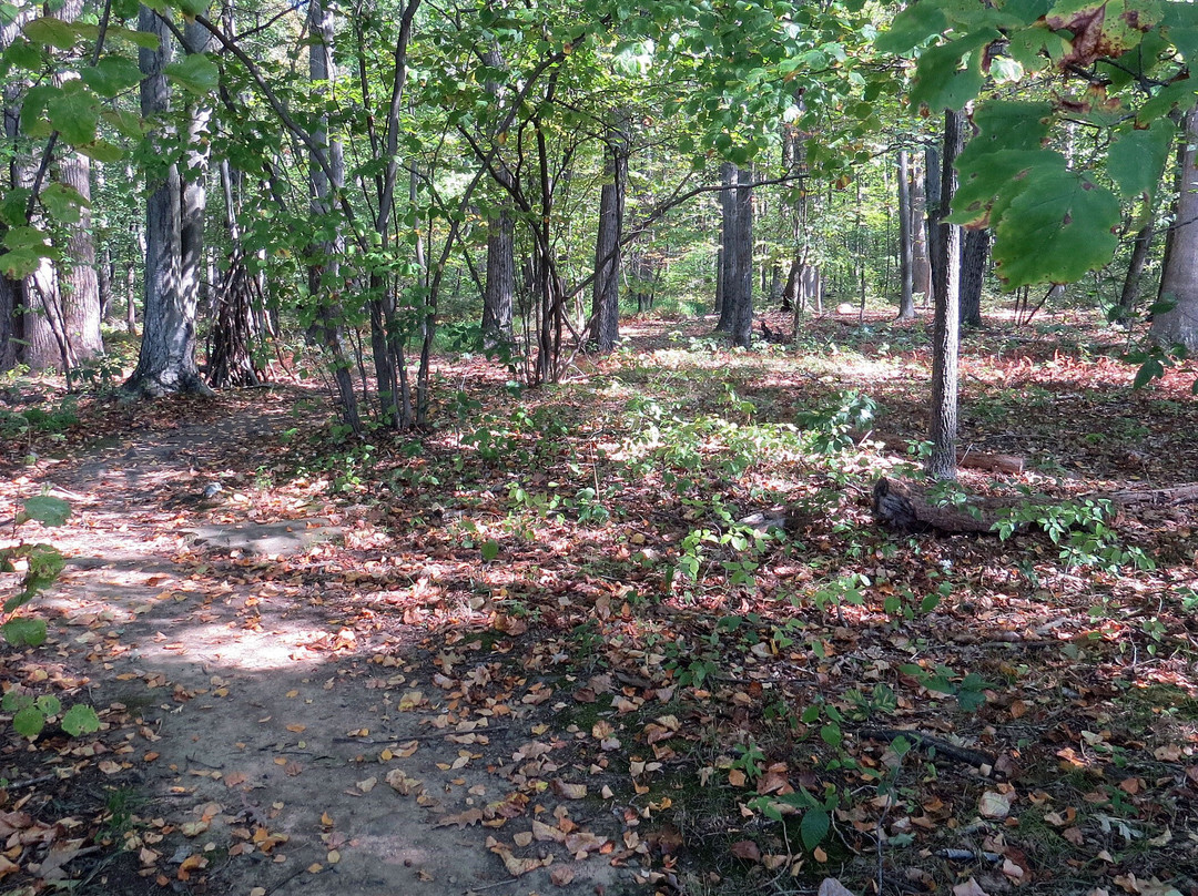 Chubb Park-Chester必去景点