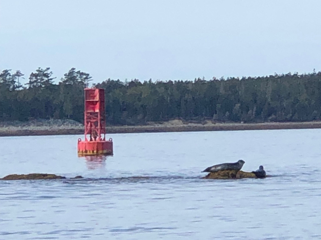 Sea Princess Cruises-Mount Desert必去景点