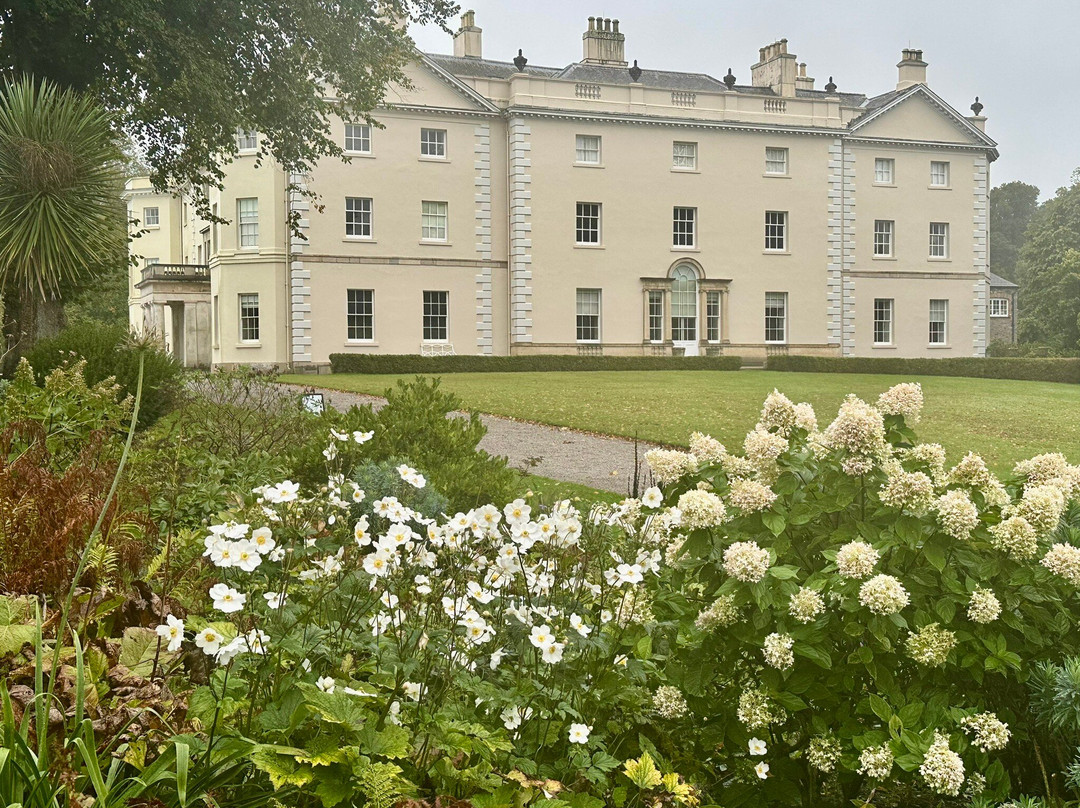 Saltram (National Trust)-普利茅斯必去景点