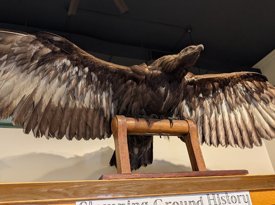 Georgetown Scott County Museum