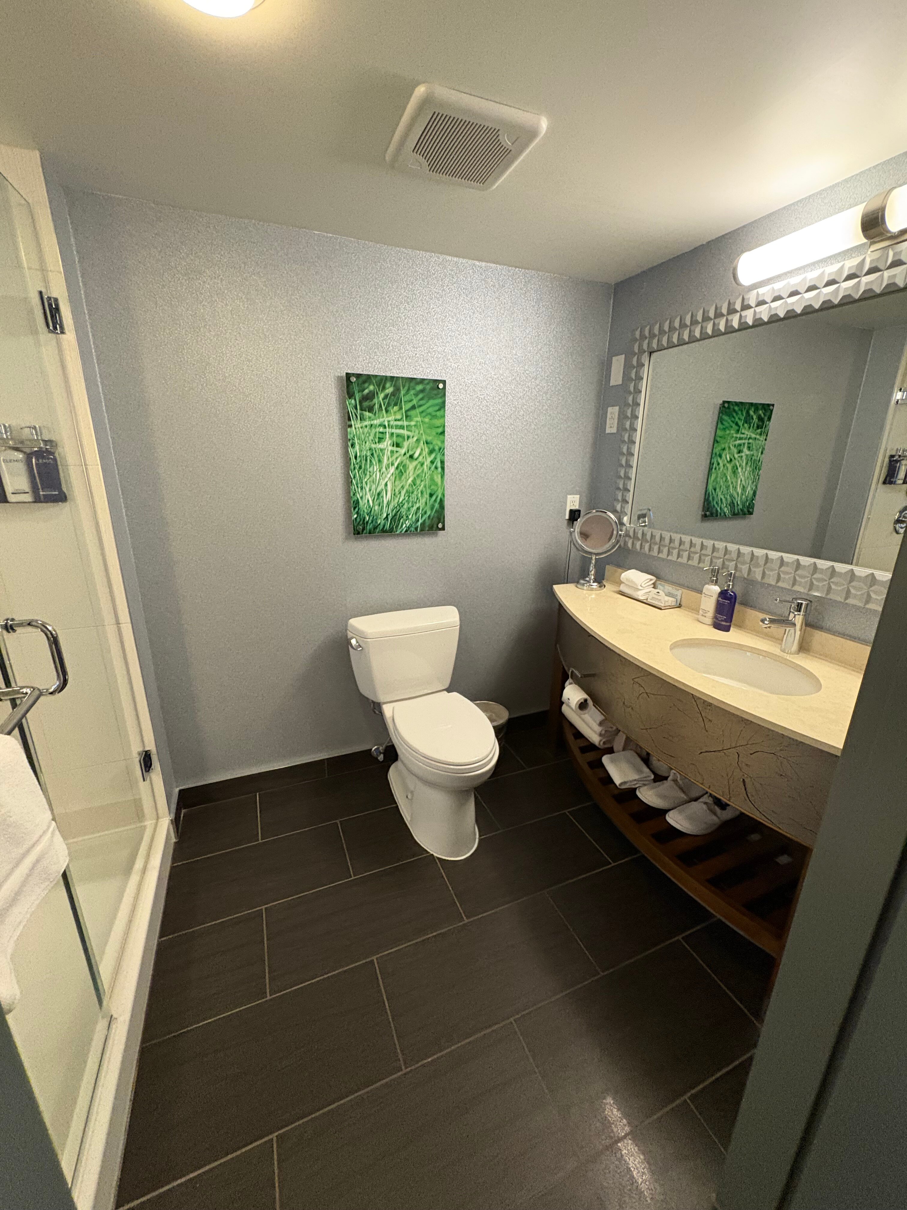 温哥华布鲁酒店-浴室