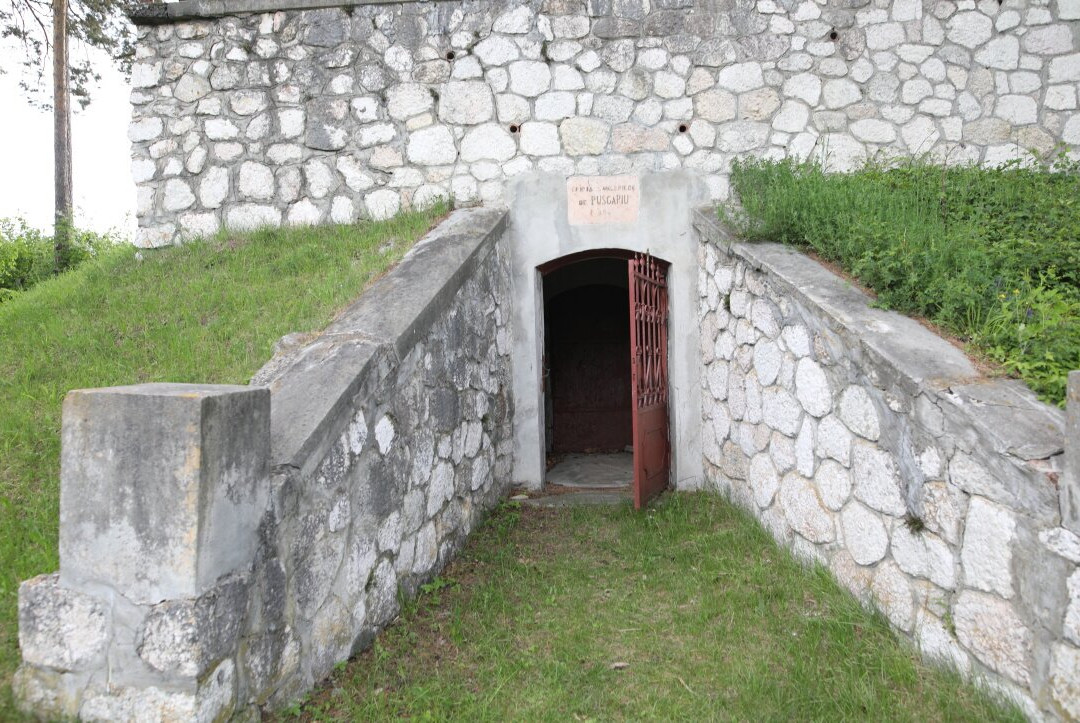 Muzeul Național Bran-布兰必去景点