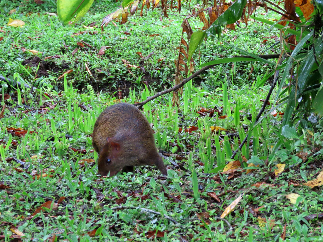 Yellow House Hiking Trails-明多必去景点