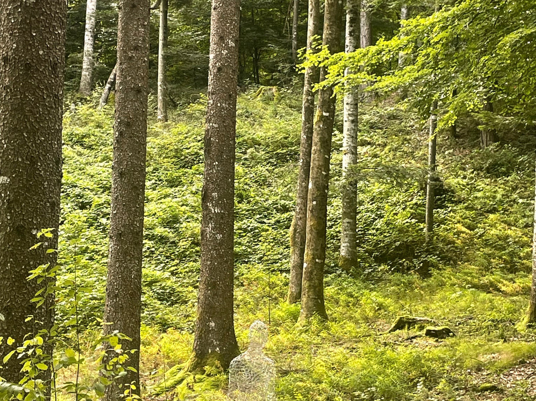 Elefante Viaggi-Gragnano必去景点