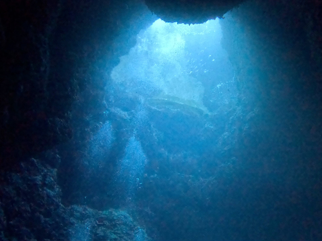 Miyakojima Diving Shop Guide-Ya-San-宫古岛市必去景点