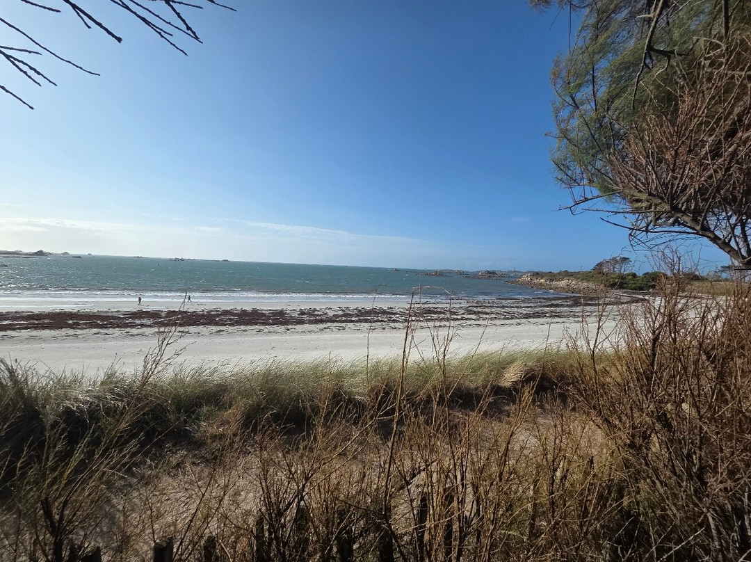 Camping Paradis La Pointe De Roscoff
